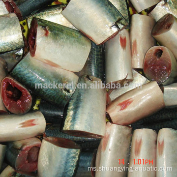 Frozen Gutted Tail Pacific Mackerel Hgt untuk tin dalam tin